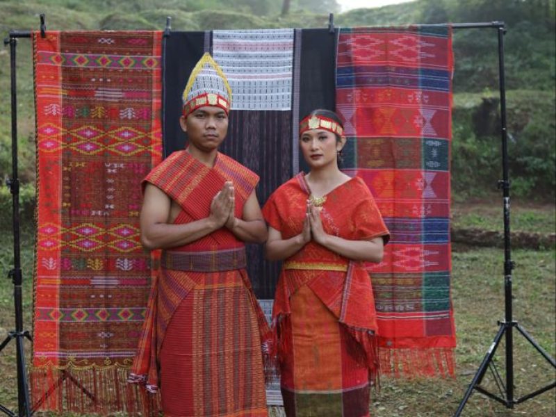 339920de-b16d-4dba-950c-87a470769515